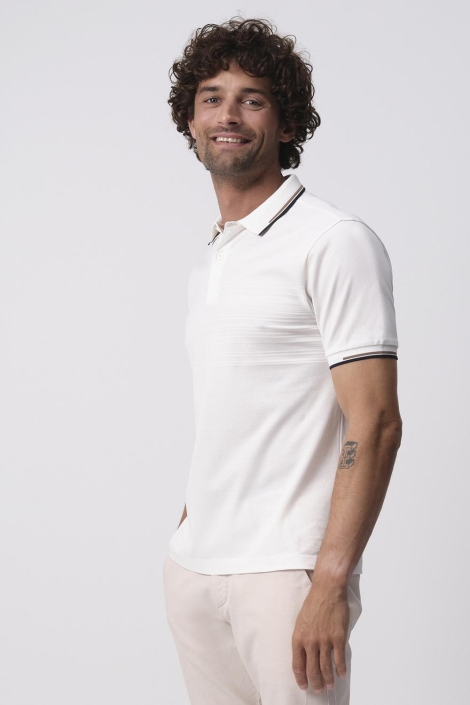 Campbell campbell warson polo km